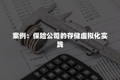 案例：保险公司的存储虚拟化实践