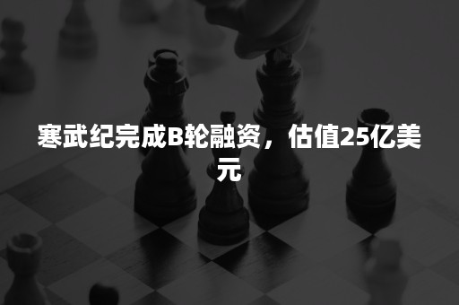 寒武纪完成B轮融资，估值25亿美元