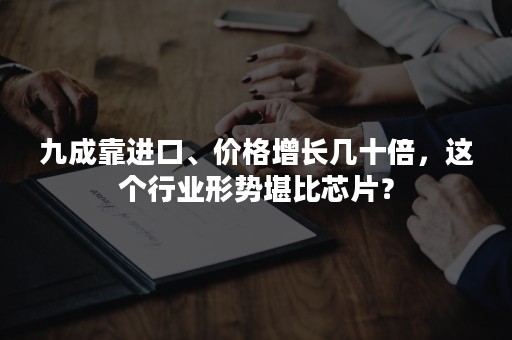 九成靠进口、价格增长几十倍，这个行业形势堪比芯片？