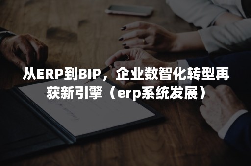 从ERP到BIP，企业数智化转型再获新引擎（erp系统发展）