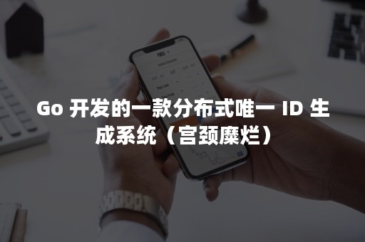 Go 开发的一款分布式唯一 ID 生成系统（宫颈糜烂）