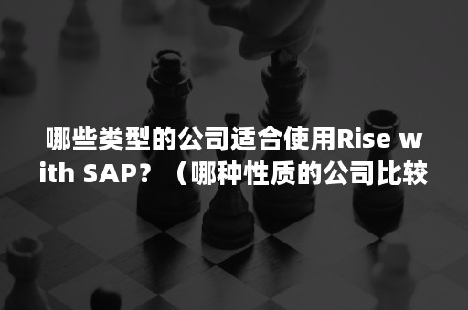 哪些类型的公司适合使用Rise with SAP？（哪种性质的公司比较好）