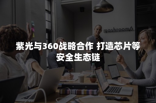 紫光与360战略合作 打造芯片等安全生态链