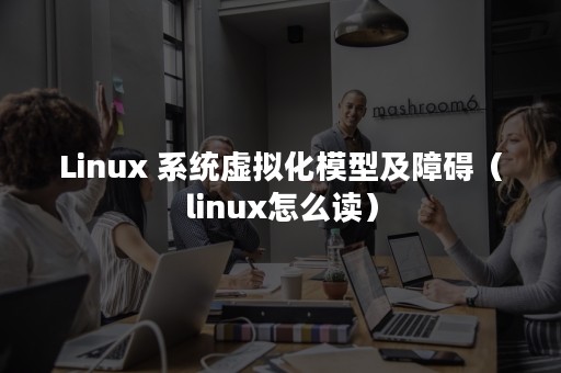 Linux 系统虚拟化模型及障碍（linux怎么读）