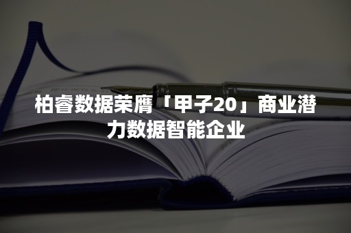 柏睿数据荣膺「甲子20」商业潜力数据智能企业