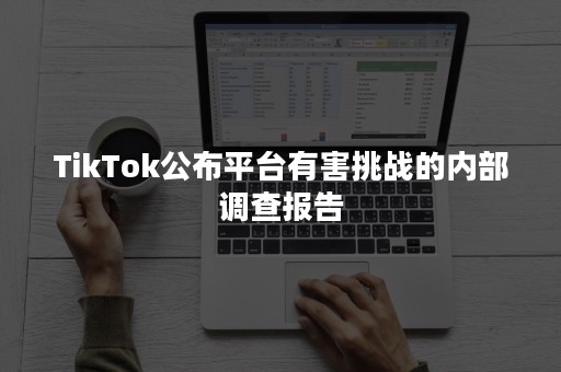 TikTok公布平台有害挑战的内部调查报告