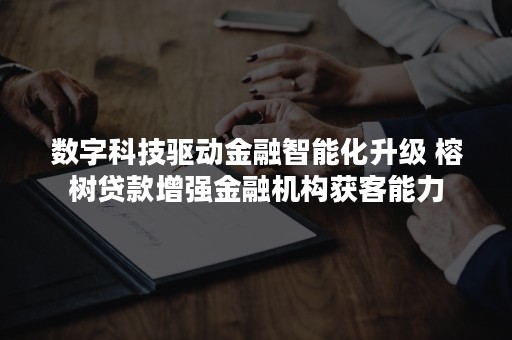 数字科技驱动金融智能化升级 榕树贷款增强金融机构获客能力