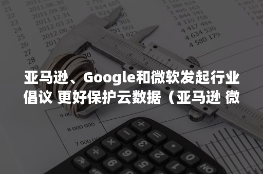 亚马逊、Google和微软发起行业倡议 更好保护云数据（亚马逊 微软）