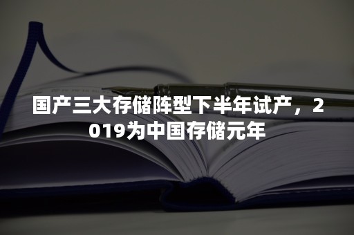 国产三大存储阵型下半年试产，2019为中国存储元年