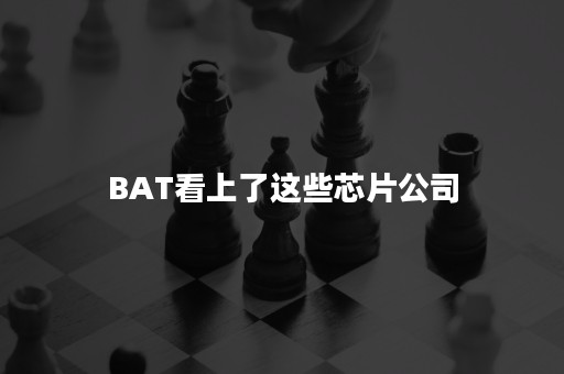 BAT看上了这些芯片公司