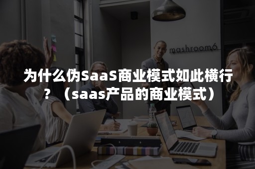 为什么伪SaaS商业模式如此横行？（saas产品的商业模式）