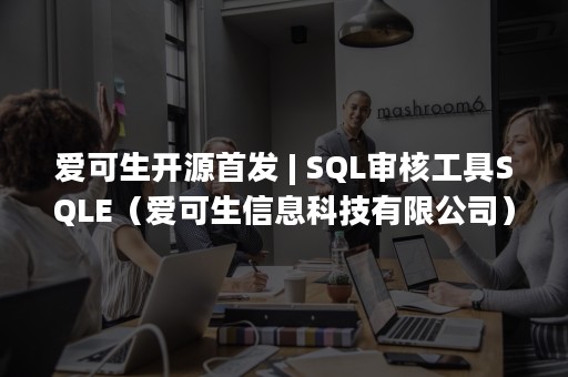 爱可生开源首发 | SQL审核工具SQLE（爱可生信息科技有限公司）