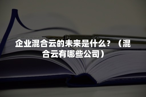 企业混合云的未来是什么？（混合云有哪些公司）