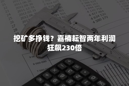 挖矿多挣钱？嘉楠耘智两年利润狂飙230倍