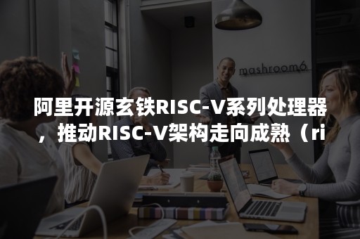 阿里开源玄铁RISC-V系列处理器，推动RISC-V架构走向成熟（risc v开源）