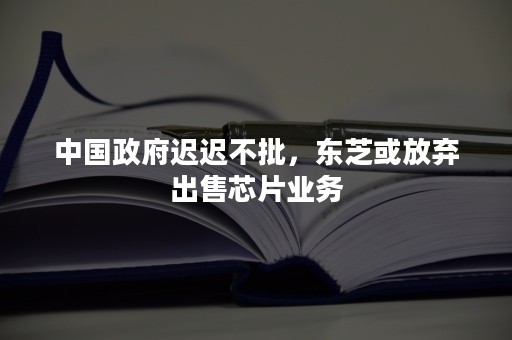 中国政府迟迟不批，东芝或放弃出售芯片业务