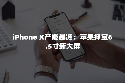 iPhone X产能暴减：苹果押宝6.5寸新大屏