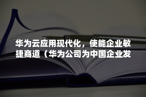 华为云应用现代化，使能企业敏捷商道（华为公司为中国企业发展提供的智慧）