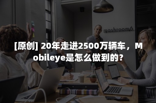 [原创] 20年走进2500万辆车，Mobileye是怎么做到的？