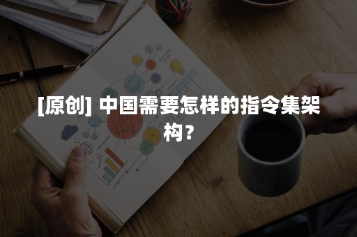 [原创] 中国需要怎样的指令集架构？