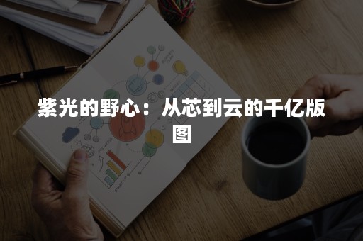 紫光的野心：从芯到云的千亿版图