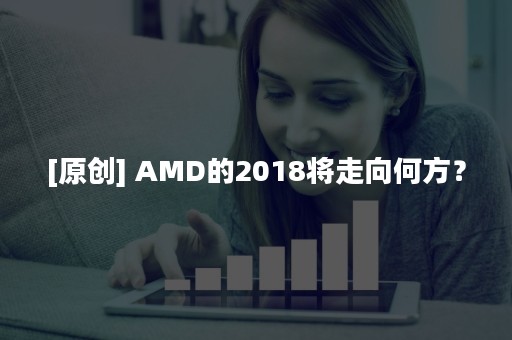 [原创] AMD的2018将走向何方？