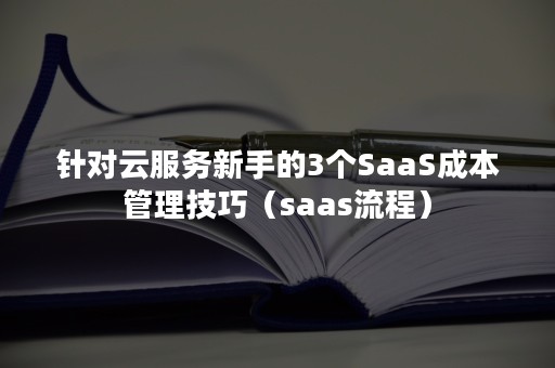 针对云服务新手的3个SaaS成本管理技巧（saas流程）