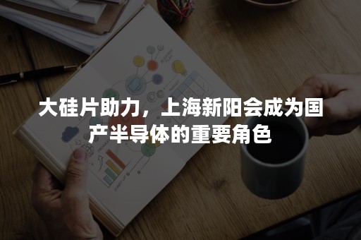 大硅片助力，上海新阳会成为国产半导体的重要角色