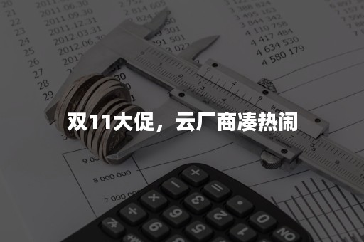 双11大促，云厂商凑热闹