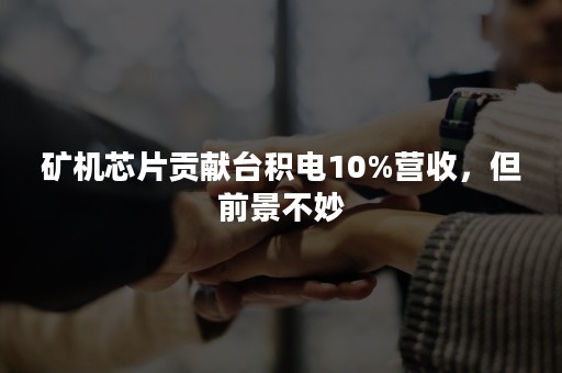 矿机芯片贡献台积电10%营收，但前景不妙