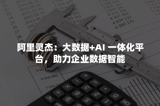 阿里灵杰：大数据+AI 一体化平台，助力企业数据智能