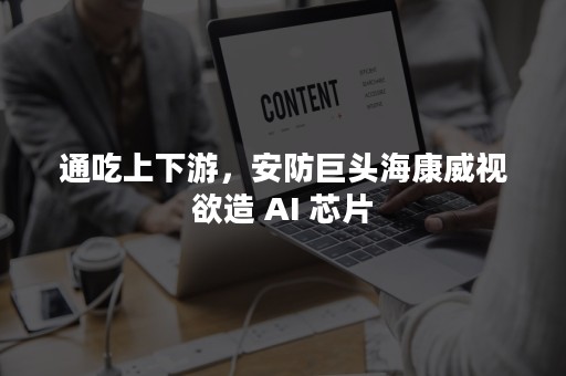 通吃上下游，安防巨头海康威视欲造 AI 芯片