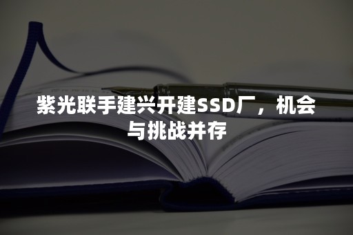 紫光联手建兴开建SSD厂，机会与挑战并存