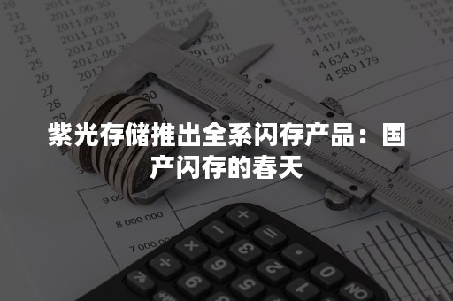 紫光存储推出全系闪存产品：国产闪存的春天