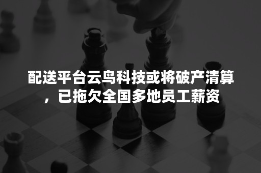 配送平台云鸟科技或将破产清算，已拖欠全国多地员工薪资