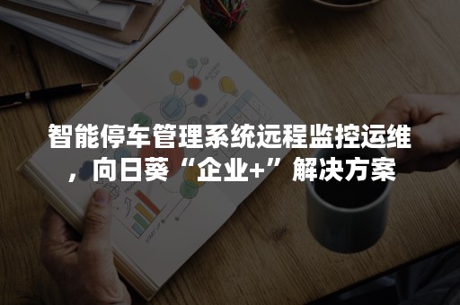 智能停车管理系统远程监控运维，向日葵“企业+”解决方案