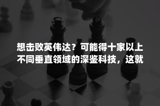 想击败英伟达？可能得十家以上不同垂直领域的深鉴科技，这就是AI芯片的「行情」| 人物对话