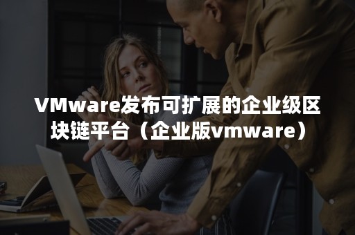 VMware发布可扩展的企业级区块链平台（企业版vmware）