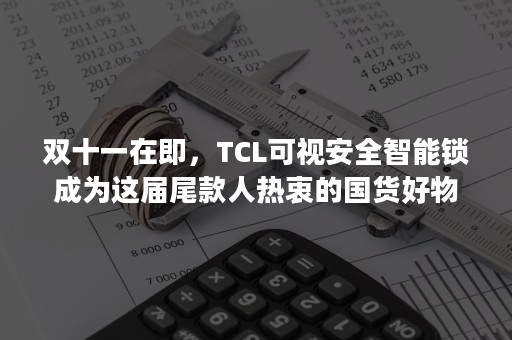 双十一在即，TCL可视安全智能锁成为这届尾款人热衷的国货好物