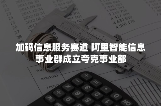 加码信息服务赛道 阿里智能信息事业群成立夸克事业部