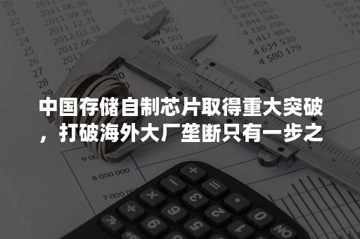 中国存储自制芯片取得重大突破，打破海外大厂垄断只有一步之遥？中国三大存储阵营正在发力，2019 年将决胜负