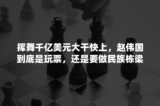 挥舞千亿美元大干快上，赵伟国到底是玩票，还是要做民族栋梁？