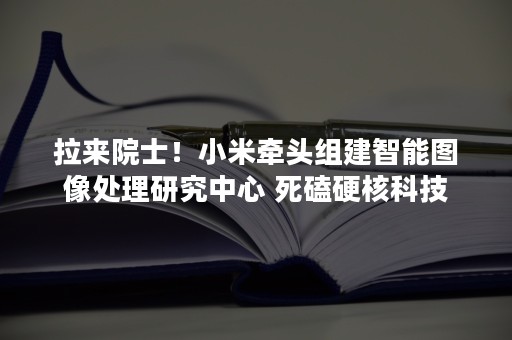 拉来院士！小米牵头组建智能图像处理研究中心 死磕硬核科技