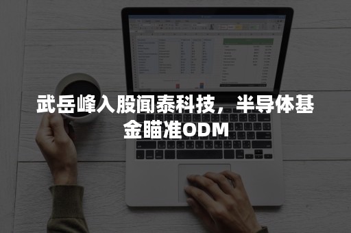 武岳峰入股闻泰科技，半导体基金瞄准ODM