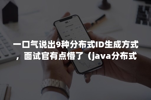 一口气说出9种分布式ID生成方式，面试官有点懵了（java分布式id生成方案）