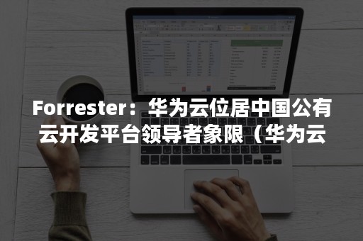 Forrester：华为云位居中国公有云开发平台领导者象限（华为云案例）