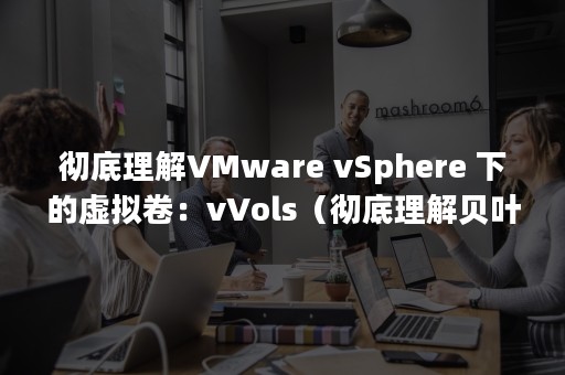 彻底理解VMware vSphere 下的虚拟卷：vVols（彻底理解贝叶斯需要多久）