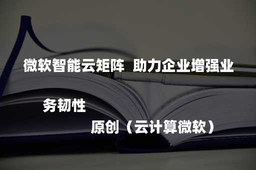 微软智能云矩阵  助力企业增强业务韧性
            原创（云计算微软）