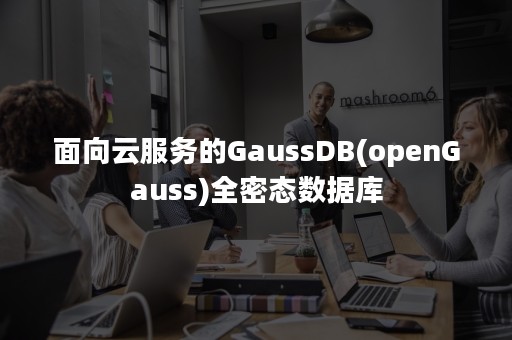 面向云服务的GaussDB(openGauss)全密态数据库