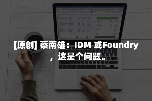 [原创] 蔡南雄：IDM 或Foundry ，这是个问题。